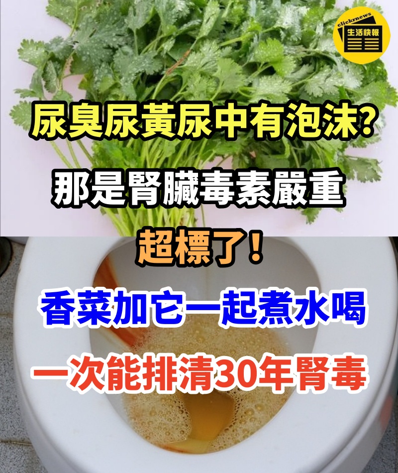 尿臭尿黃尿中有泡沫？那是腎臟毒素嚴重超標了！ 香菜加它一起煮水喝，一次就能排清30年腎毒，讓你腎臟年輕30歲