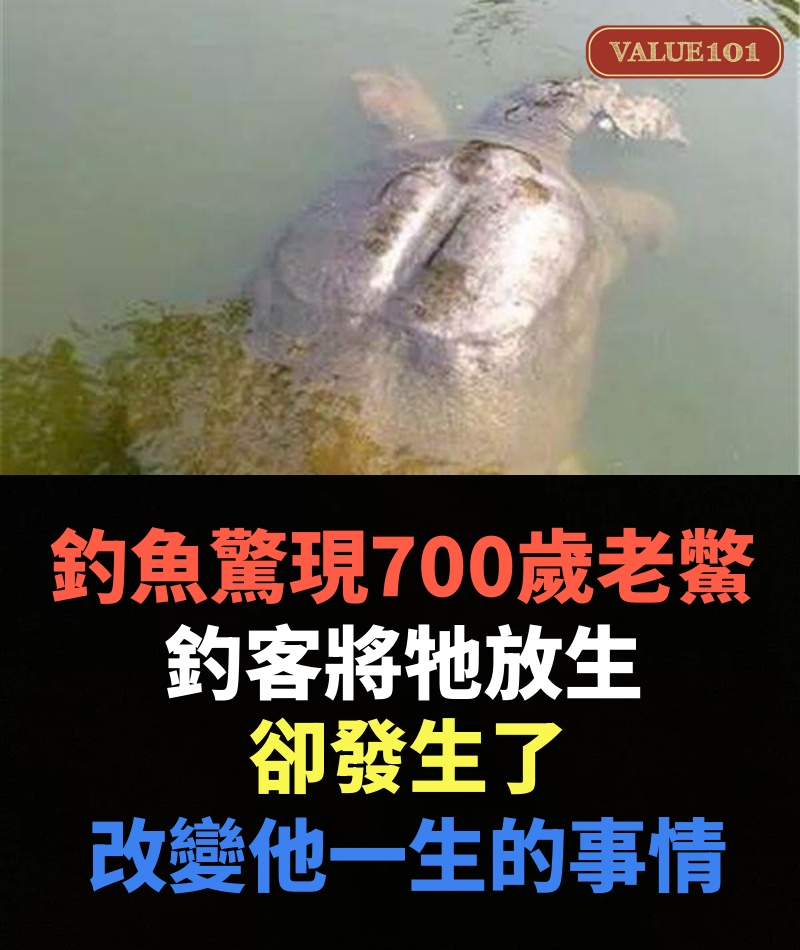 釣魚驚現700歲老鱉，釣客將牠放生，卻發生了改變他一生的事情