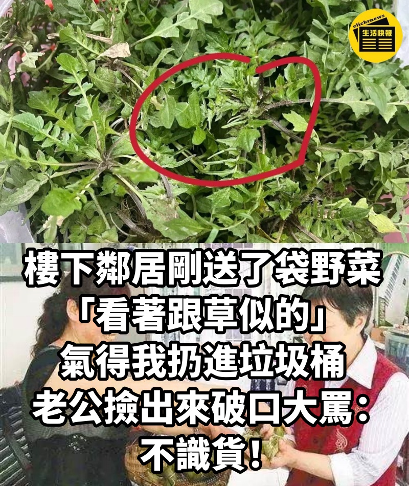 樓下鄰居剛送了袋野菜，「看著跟草似的」氣得我扔進垃圾桶，老公撿出來破口大罵：不識貨