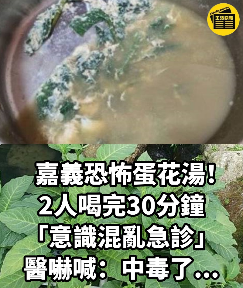 嘉義恐怖蛋花湯！2人喝完30分鐘「意識混亂急診」...醫嚇喊「中毒了...」