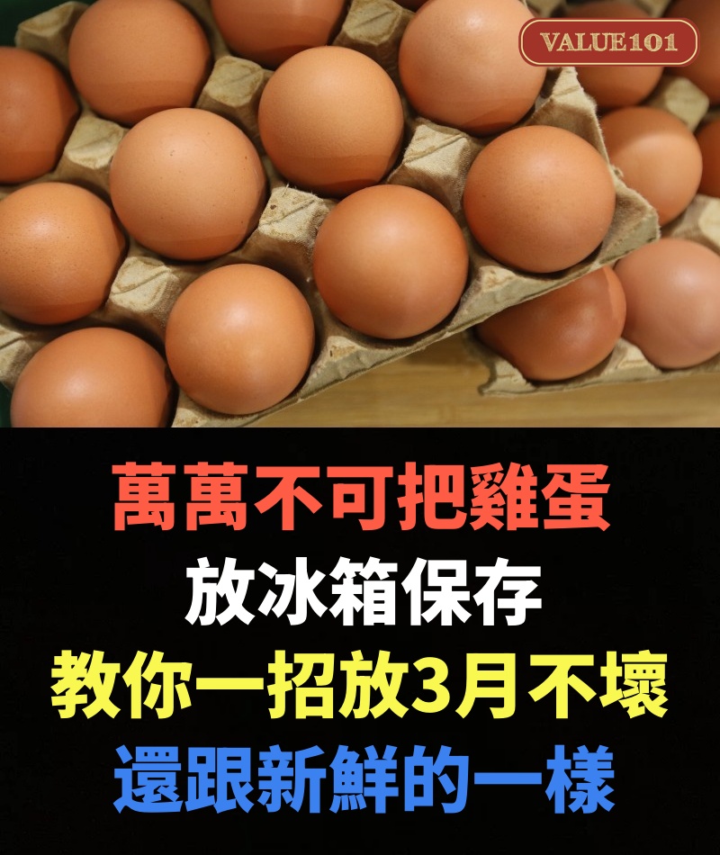 萬萬不可把雞蛋放冰箱保存，養雞場大姨教你一招，放3月一點不壞，還跟新鮮的一樣