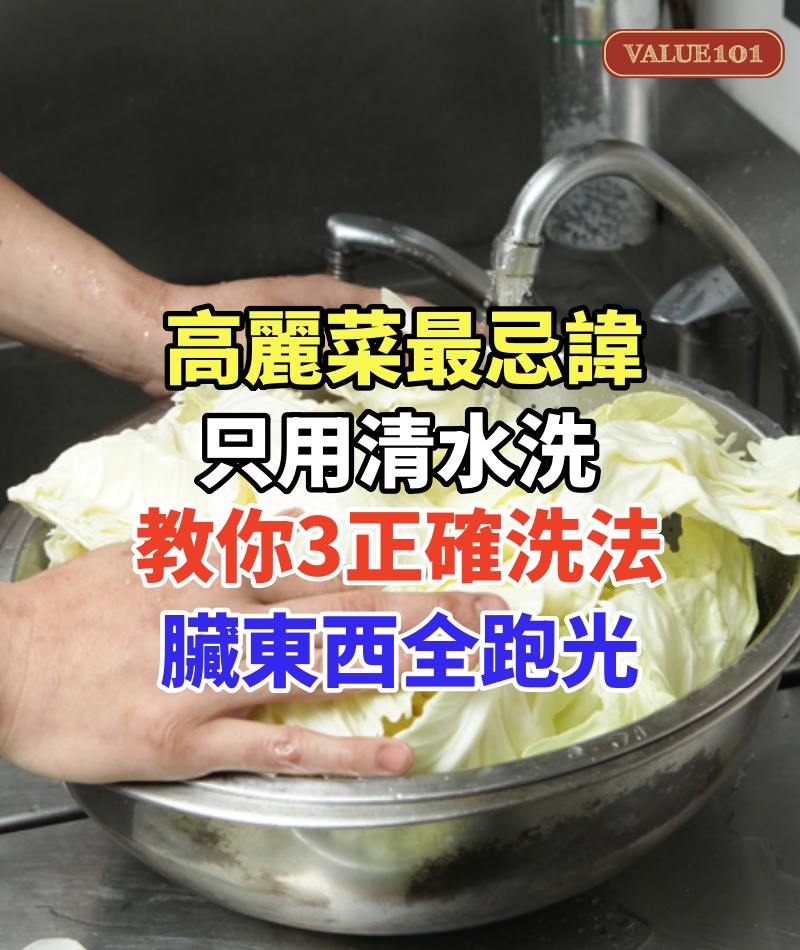 高麗菜最忌諱只用清水洗!洗不乾淨「等於吃蟲卵」內葉藏超多蟲教你「3正確洗法」臟東西全跑光