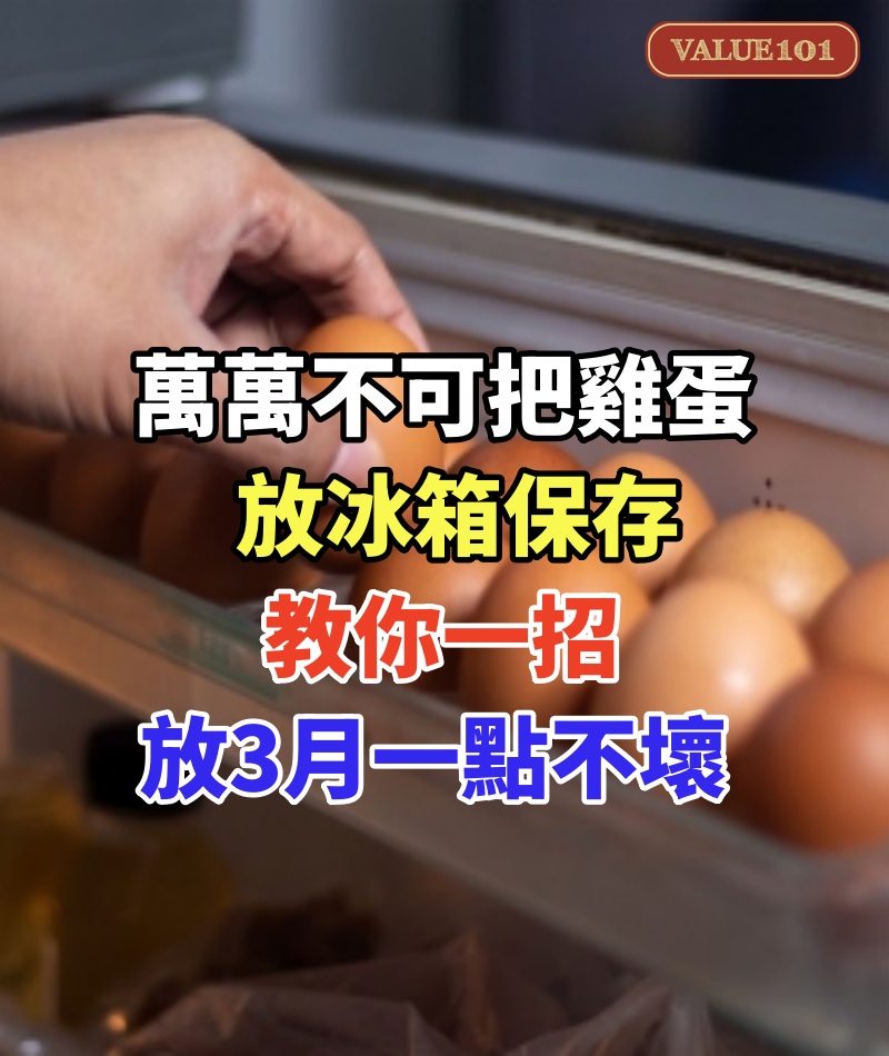 萬萬不可把雞蛋放冰箱保存,養雞場大姨教你一招,放3月一點不壞,還跟新鮮的一樣