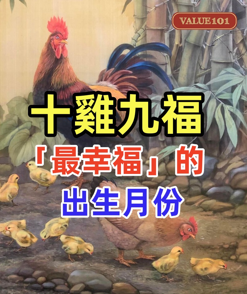 十雞九福,生肖雞「最幸福」的出生月份