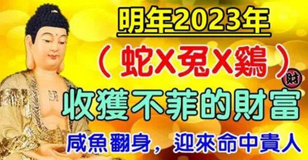 2023年迎來命中貴人，鹹魚翻身的生肖