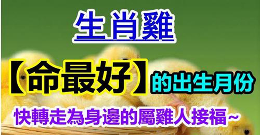 不同月不同命，生肖雞命最好的出生月份 ，你家有屬雞人嗎，再窮也會變富