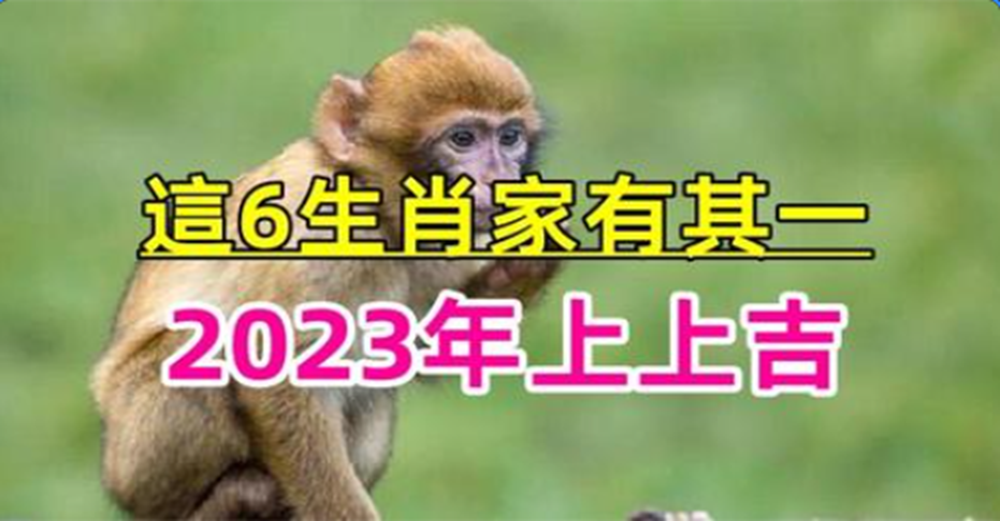 吉星當頭，2023年6生肖運勢上上吉，財運好到爆，一整年順風順水