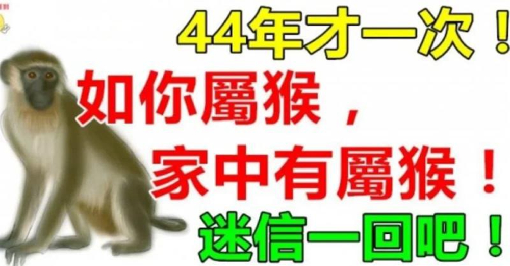 如果你不屬猴，你最愛的人屬猴，或家中有屬猴，45年才一次迷信一回吧