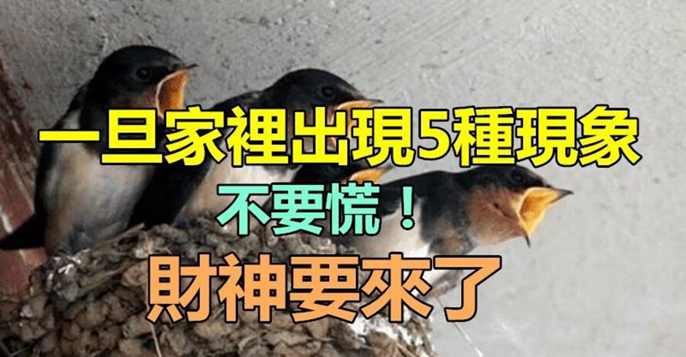 財神來了，一旦家中出現5種現象萬萬不能慌，暗示財神要上門越住越有錢