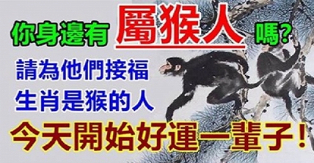 屬猴的人請為他們接福，今天開始好運一輩子