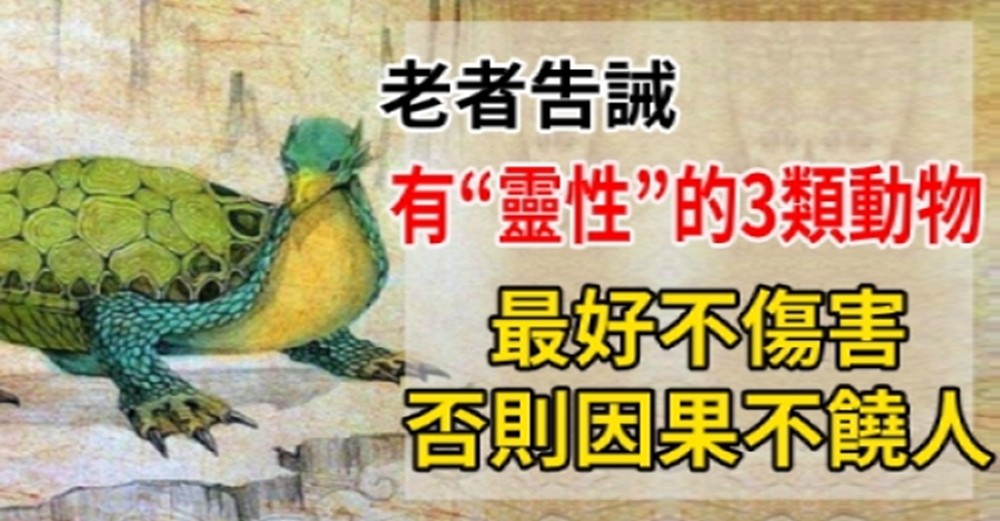 老者告誡：有“靈性”的3類動物，最好不傷害，否則因果不饒人