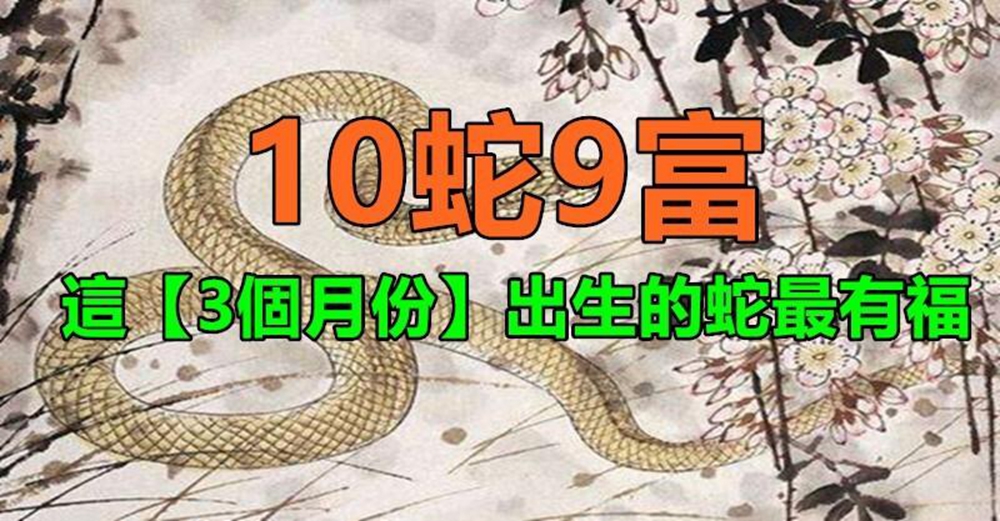 10蛇9富！這「3個月份」出生的蛇最有福氣　命裡「一生富貴」看看你家有嗎？