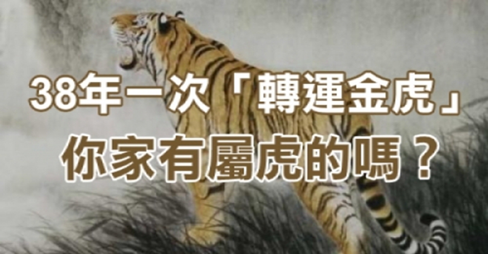 屬虎的人今年是「轉運金虎」！38年一次，快來接！