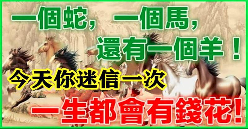 家裡有「屬蛇，屬馬，屬羊」的！今天你迷信一次　一生有錢花