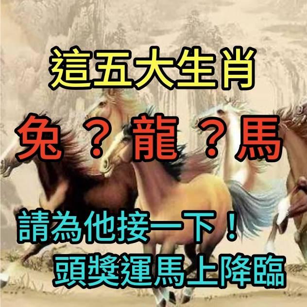 誰家有屬這五大生肖的人嘛，最近會有頭獎運，請為他接一下！兔 ？ 龍 ？馬