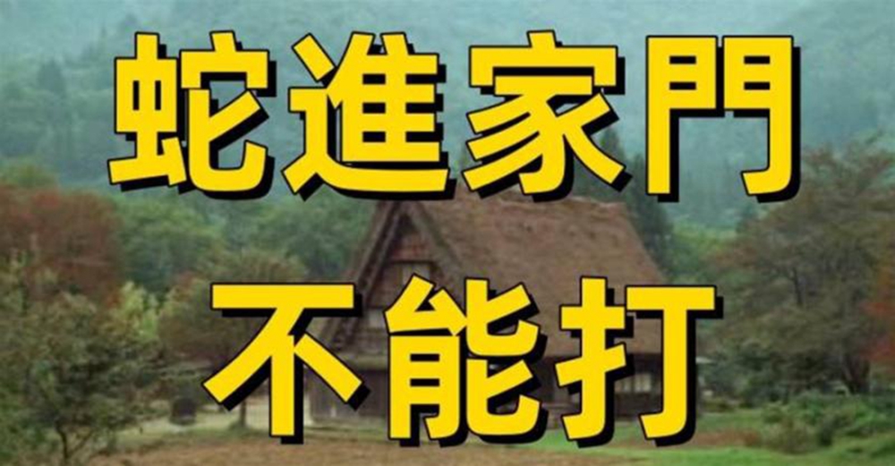 老話常說：「蛇進家門不能打」為什麼不能打？「蛇進屋的原因」很多人都不知道