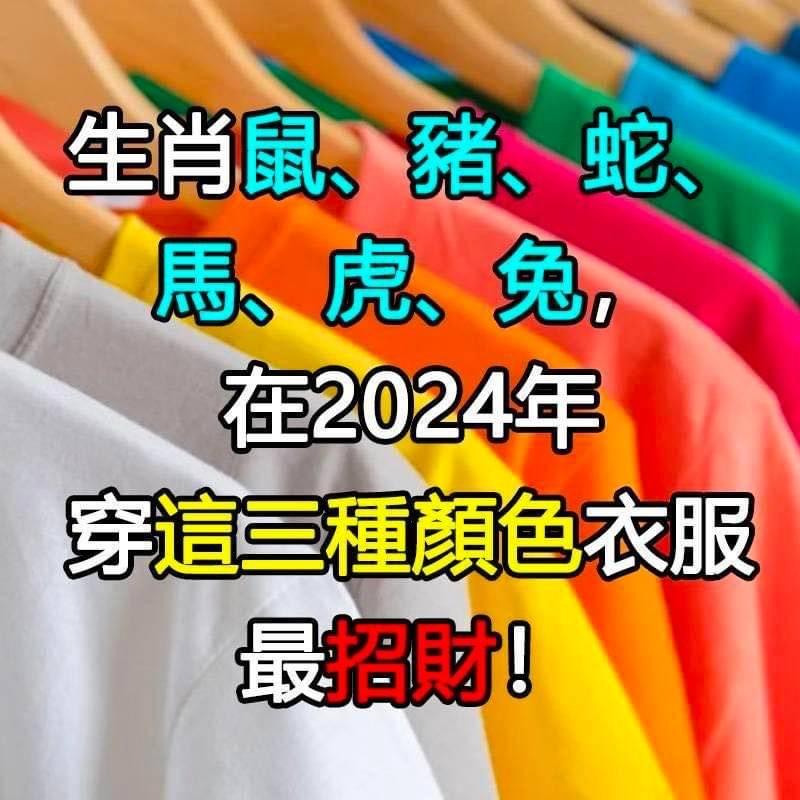 生肖鼠、豬、蛇、馬、虎、兔，在2024年穿這三種顏色衣服最招財！