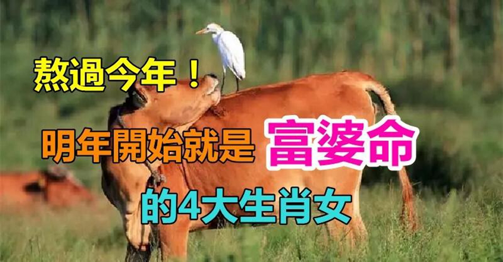 熬過今年！2024年開始就是「富婆命」的4大生肖女　運氣開掛「財路大開」日子越過越順