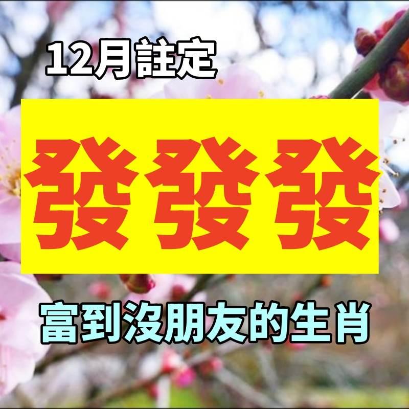 12月註定發發發，富到沒朋友的生肖