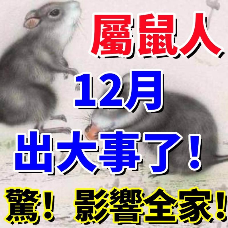 屬鼠人：12月出大事了！驚！影響全家！