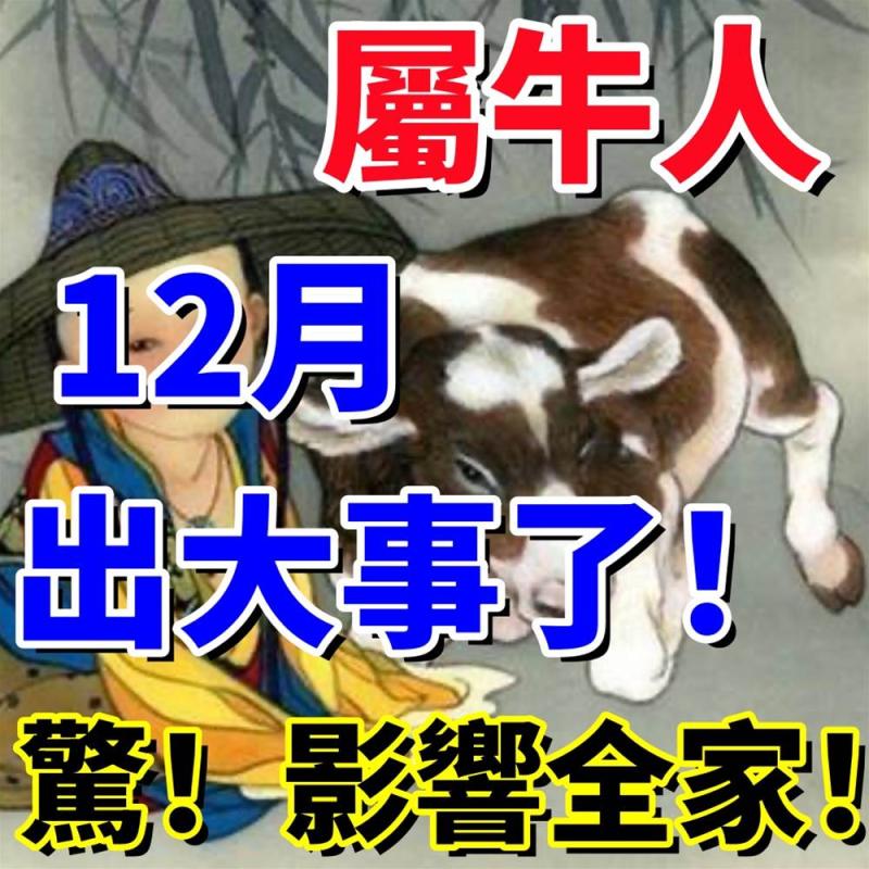 屬牛人：12月出大事了！驚！影響全家！