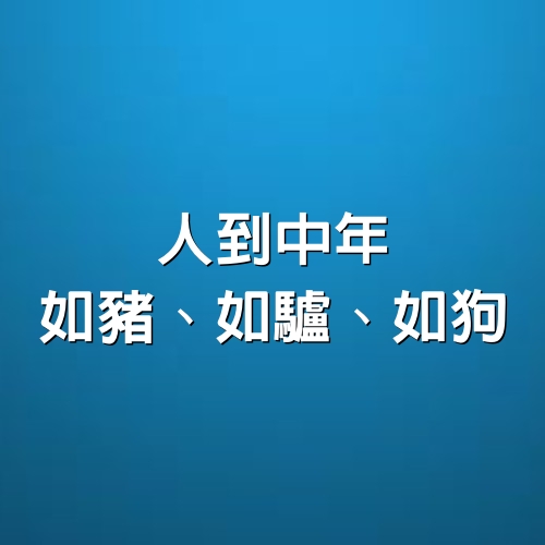 人到中年，如豬、如驢、如狗