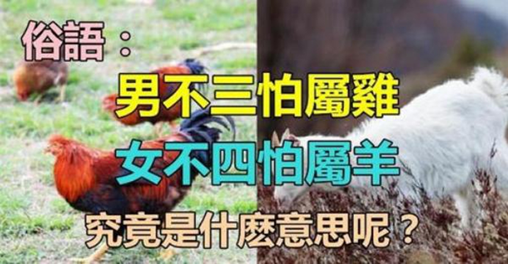 「男不三怕屬雞，女不四怕屬羊」究竟是什麼意思？ 老祖宗「對生肖的講究 」長知識了！