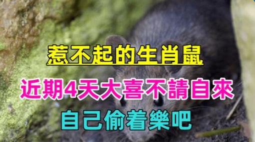 大運到來！「惹不起」的生肖鼠　近期4天「大喜不請自來」自己偷著樂吧