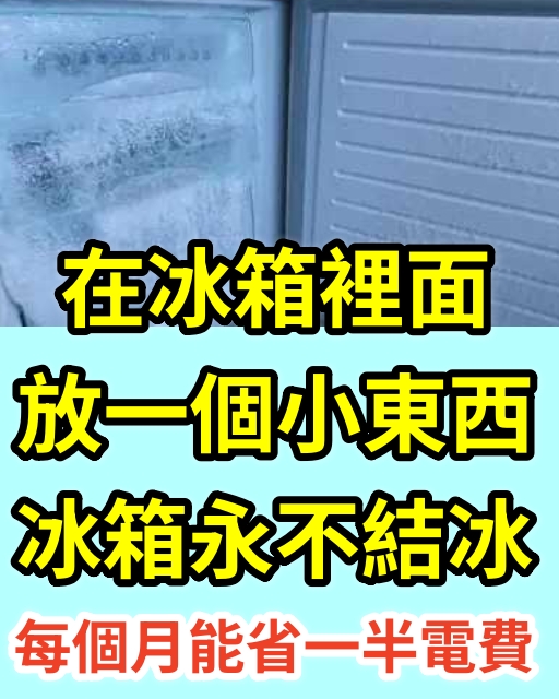 在冰箱裡面放一個小東西，冰箱永不結冰，每個月都能省一半電費