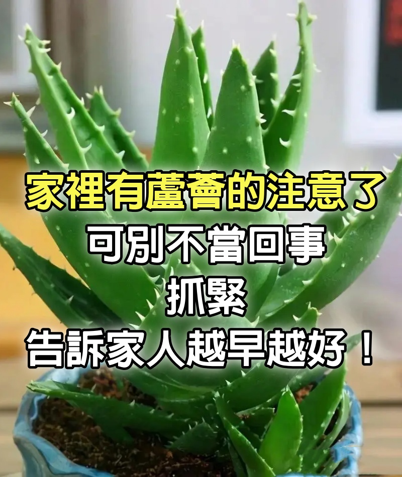 家裡有蘆薈的注意了，可別不當回事，抓緊告訴家人越早越好！