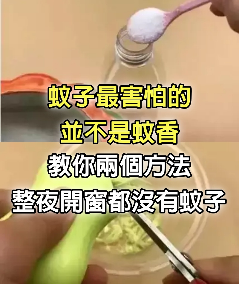 蚊子最害怕的並不是蚊香，教你2個方法，整夜開窗都沒有蚊子