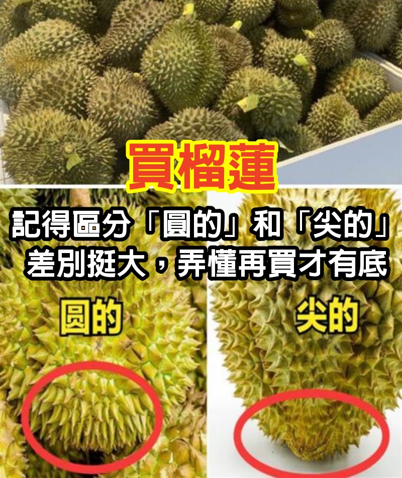 買榴蓮，記得區分「圓的」和「尖的」，差別挺大，弄懂再買才有底