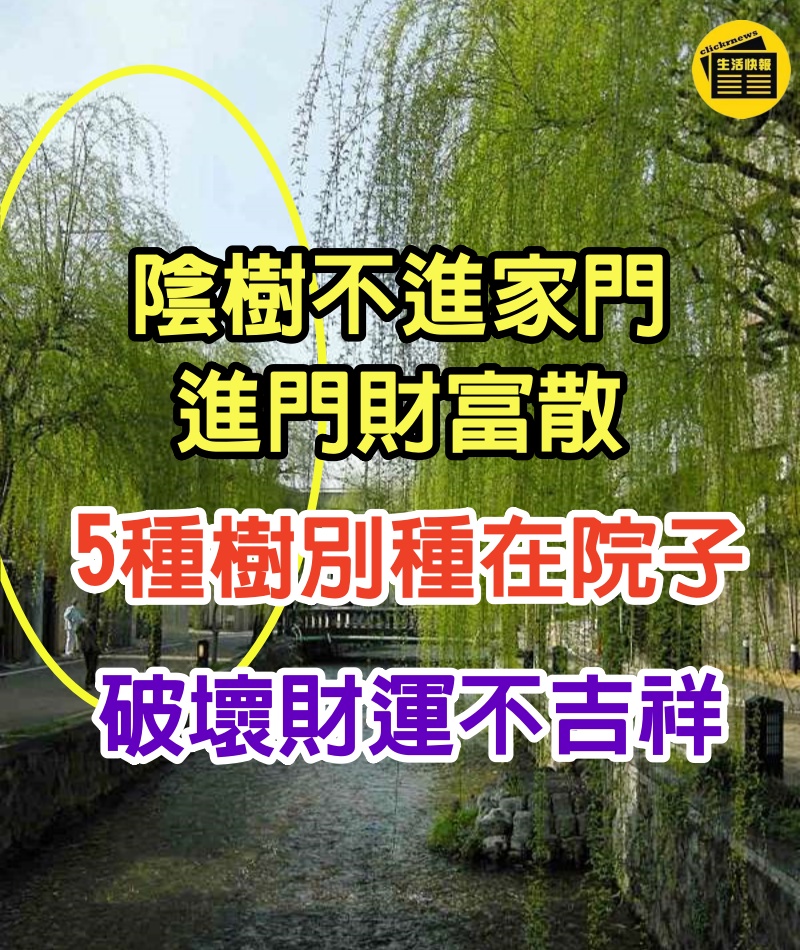 破壞財運！俗話「陰樹不進家門，進門財富散」　5種樹別種在院子：很不吉祥