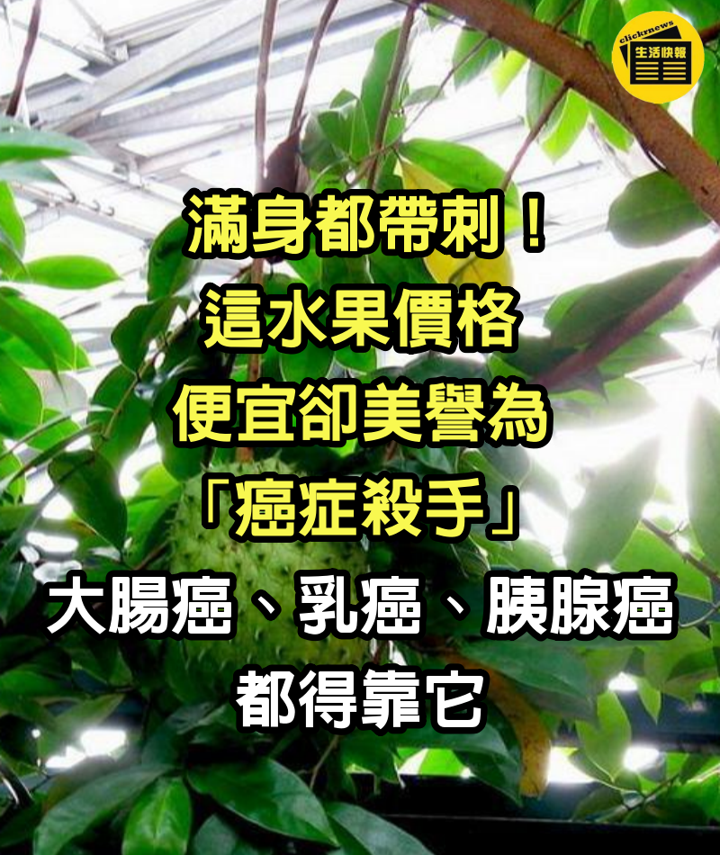 滿身都帶刺！這水果價格便宜卻美譽為「癌症殺手」　大腸癌、乳癌、胰腺癌都得靠它