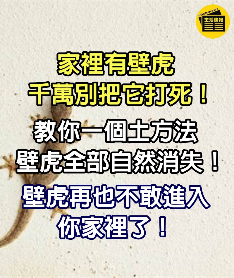 家裡有壁虎，千萬別把它打死！教你一個土方法，家裡的壁虎全部自然消失！壁虎再也不敢進入你家裡了！