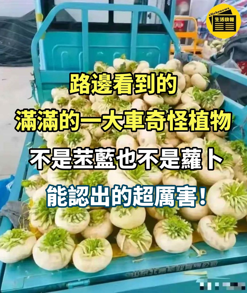 路邊看到的，滿滿的一大車「奇怪植物」不是苤藍也不是蘿卜，能認出的超厲害！