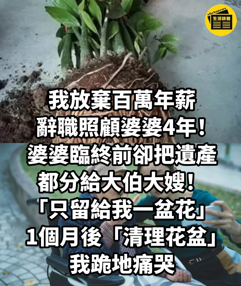 我放棄百萬年薪   辭職照顧婆婆4年！ 婆婆臨終前卻把遺產 都分給大伯大嫂！ 「只留給我一盆花」   1個月後「清理花盆」 我跪地痛哭