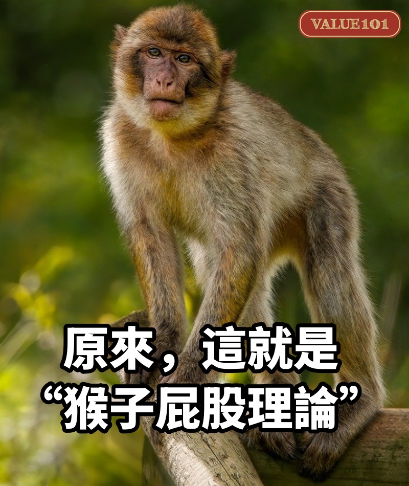 原來，這就是“猴子屁股理論”